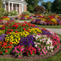 Flower Installation