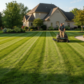 Medium Yard Mowing